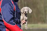 ADULTE ET CHIEN 039